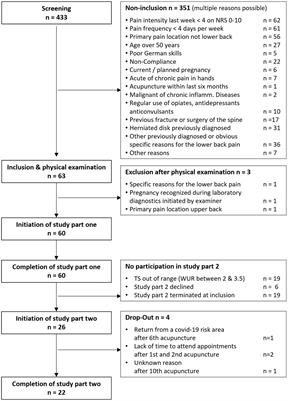 Temporal summation does not predict the acupuncture response in patients with chronic non-specific low back pain